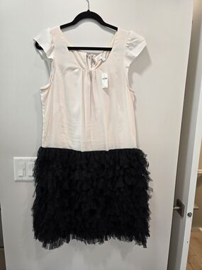 GAP Pale Pink and Black Ruffle Party Dress